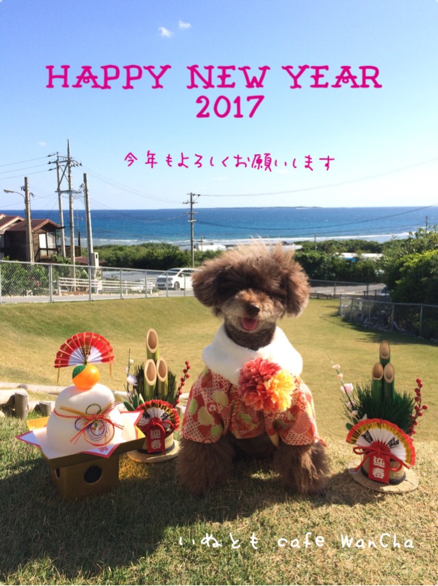 Happy New Year 2017♪♪